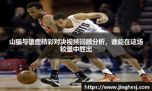 山猫与雄鹿精彩对决视频回顾分析，谁能在这场较量中胜出